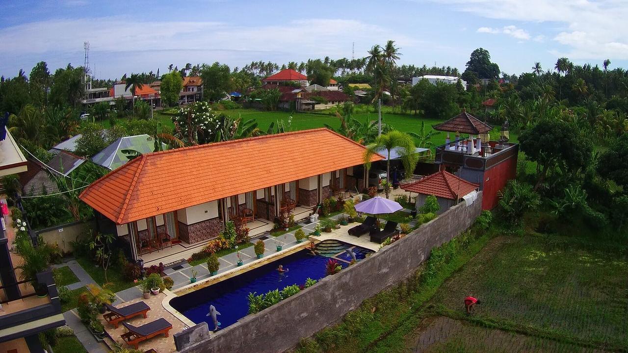 Summer Guesthouse Lovina المظهر الخارجي الصورة