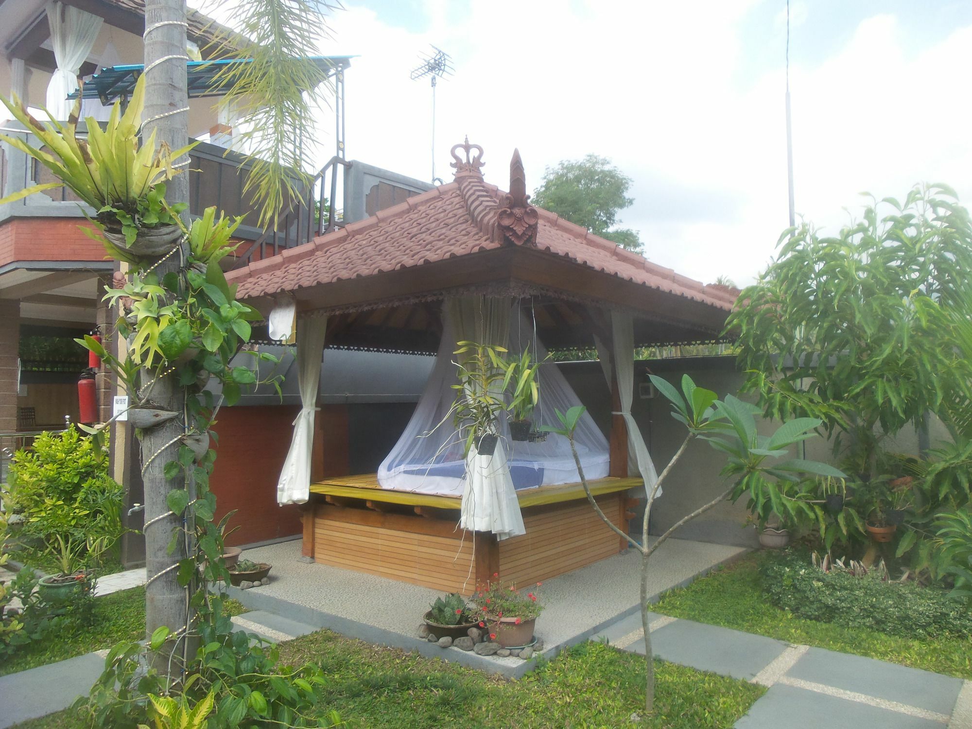 Summer Guesthouse Lovina المظهر الخارجي الصورة