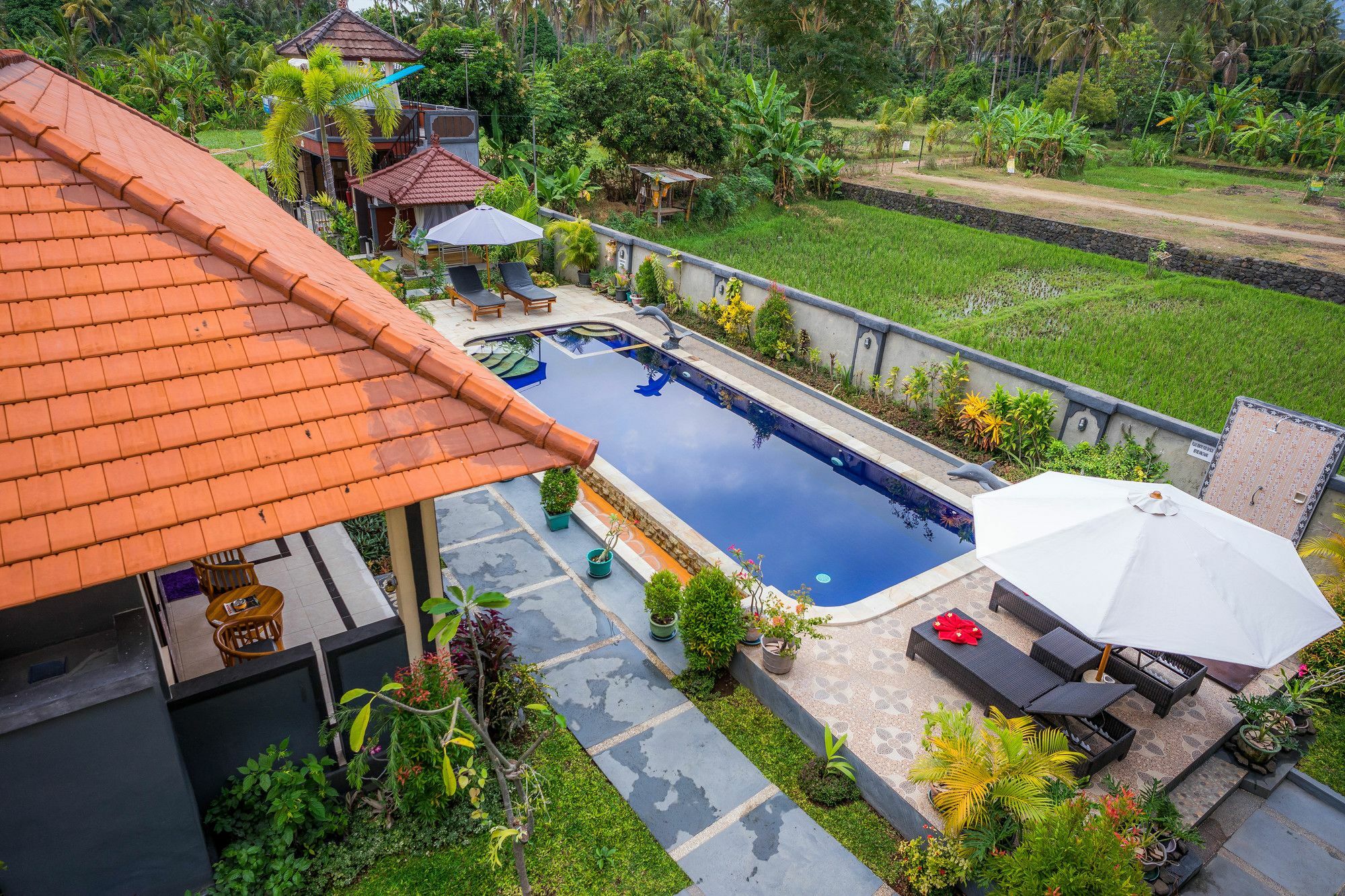 Summer Guesthouse Lovina المظهر الخارجي الصورة